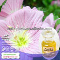 Factory Direct Supply Oenothera Essential Oil